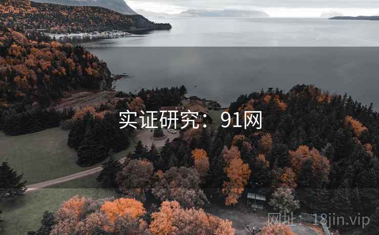 实证研究：91网
