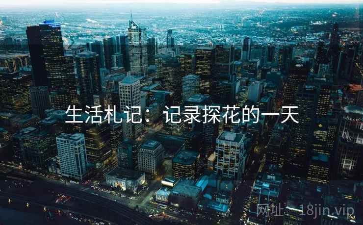 生活札记：记录探花的一天