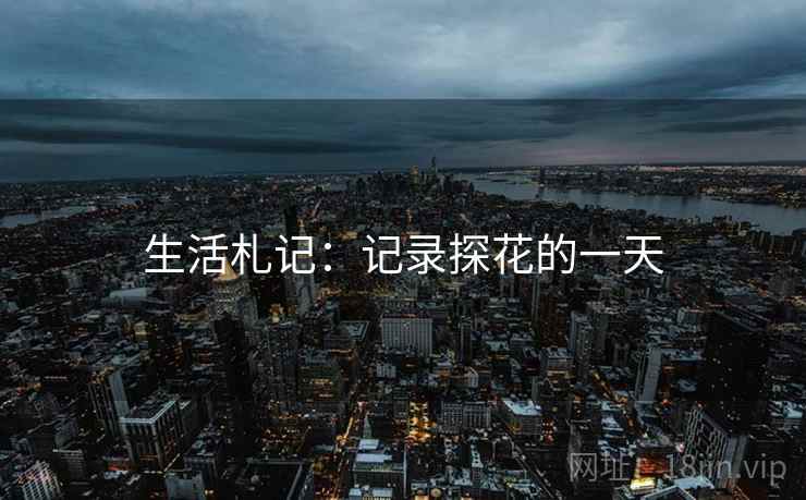 生活札记:记录探花的一天 生活札记:记录探花的一天