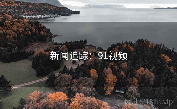 新闻追踪：91视频